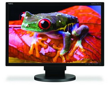 NEC multiSync EA221WM